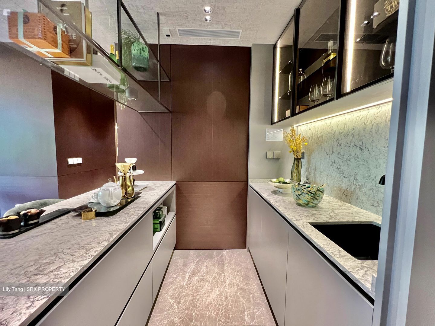 Terra Hill (D5), Apartment #455947911